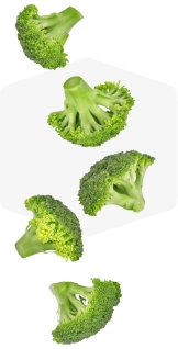 Fresh broccoli